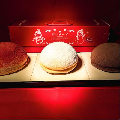 ふるさと納税 鹿島市 はいチーズ(プレーン・チョコ・苺)3種セット