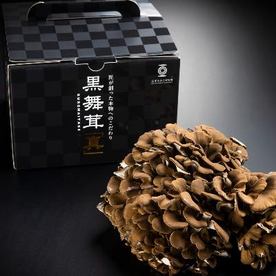 ふるさと納税 南魚沼市 大平きのこ研究所の大黒舞茸「真」[贈答用]700g