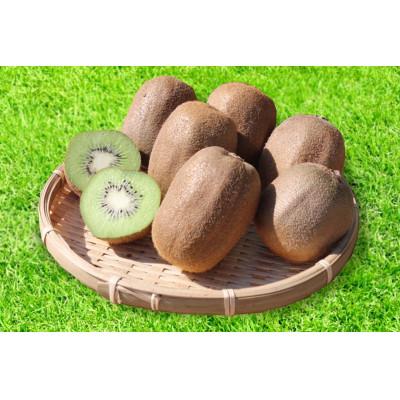 ふるさと納税 那智勝浦町 和歌山産　キウイフルーツ　約1.2kg　秀品_1