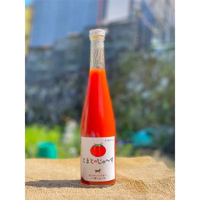ふるさと納税 福知山市 京都小林ふぁーむのとまとのじゅ〜す(500ml)[無添加]