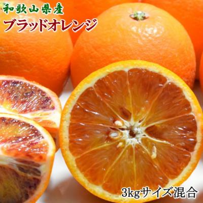 ふるさと納税 那智勝浦町 [希少・高級柑橘]国産濃厚ブラッドオレンジ「タロッコ種」約3kg(那智勝浦町)