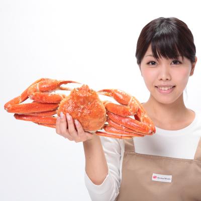 ふるさと納税 岸和田市 ビッグサイズ! ボイルズワイ蟹姿 750g 1尾