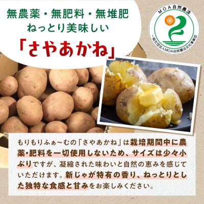 ふるさと納税 白糠町 じゃがいも(さやあかね)栽培期間農薬不使用・無肥料・北海道産【約5kg】 |  | 01
