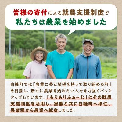 ふるさと納税 白糠町 じゃがいも(さやあかね)栽培期間農薬不使用・無肥料・北海道産【約5kg】 |  | 02