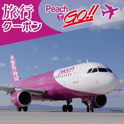 ふるさと納税 泉佐野市 PeachでGo!!(泉佐野市内宿泊編)旅行クーポン(15,000円分)