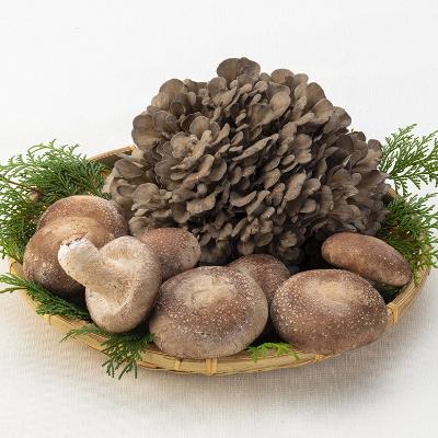 ふるさと納税 安中市 妙義山麓で育ったナバの菌床生椎茸・舞茸詰め合わせ