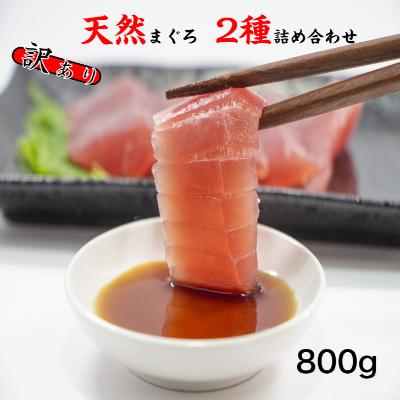 ふるさと納税 土佐市 訳あり天然マグロ2種類詰合せ800gセット　ブロック【5635348】 | 