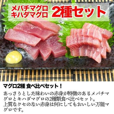 ふるさと納税 土佐市 訳あり天然マグロ2種類詰合せ800gセット　ブロック【5635348】 |  | 01