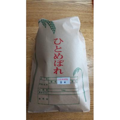 ふるさと納税 白石市 令和7年産 ひとめぼれ 玄米 10Kg