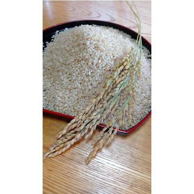 ふるさと納税 白石市 令和8年産　ひとめぼれ　玄米　10Kg |  | 01