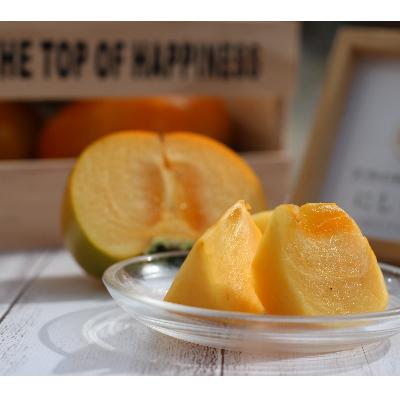 ふるさと納税 紀の川市 [2026年10月上旬以降発送]和歌山県産たねなし柿2kg(ご家庭用)