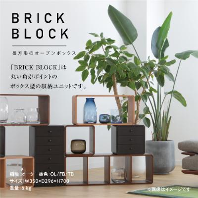 ふるさと納税 高山市 ブリック・ブロック ACK-007 塗色 WNO TR3039