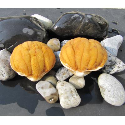 ふるさと納税 いわき市 いわき加工の馬目商店うに貝焼き 2個入[約150g(貝なし)]