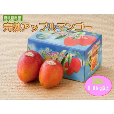 ふるさと納税 南大隅町 [2026年発送・先行受付]完熟アップルマンゴー約800g