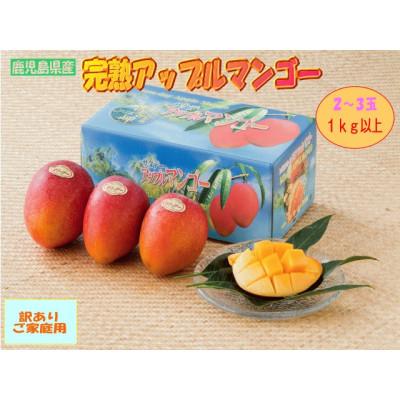 ふるさと納税 南大隅町 [2026年発送・先行受付][ご家庭用]訳あり完熟マンゴー約1kg