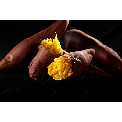 ふるさと納税 行方市 焼き芋を追求したJAチョイスの「さつまいも」5kg(日本農業賞「大賞」・農林水産祭『天皇杯』)