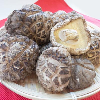 ふるさと納税 小諸市 [訳あり]干し椎茸 無選別 (100g×4袋)