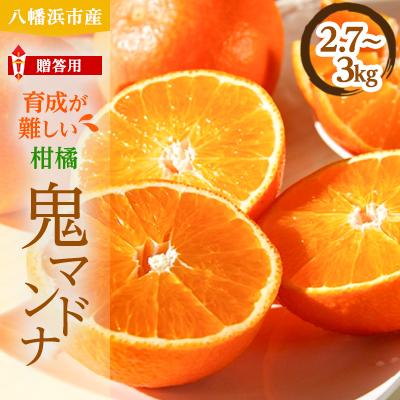 ふるさと納税 八幡浜市 柑橘の鬼たちがつくる八幡浜産・鬼マドンナ(2.7kg〜3.0kg)[贈答用][E56-16]