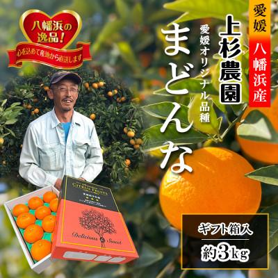 ふるさと納税 八幡浜市 ギフト対応化粧箱入・上杉農園のぷるぷる新食感!「マドンナ」約3kg[D39-16]