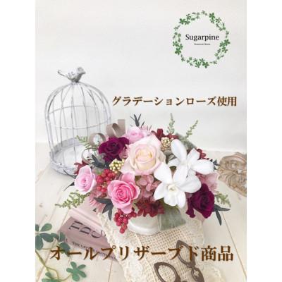 ふるさと納税 春日部市 プリザーブドフラワーアレンジ 【シェリ】 春日部市 シュガーパイン | 
