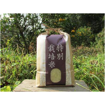 ふるさと納税 上郡町 [栽培期間中農薬不使用]2025年兵庫県産もち米「はりまもち」白米5kg