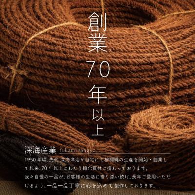 ふるさと納税 美浜町 国産棕櫚箒 5玉_3