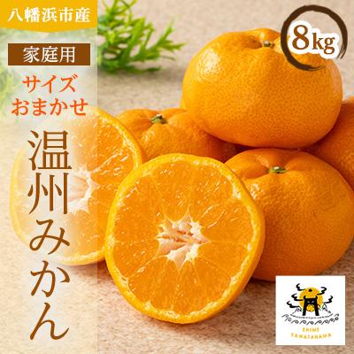 ふるさと納税 八幡浜市 柑橘の鬼たちがつくる八幡浜産・温州みかん8kg[家庭用][C56-17]