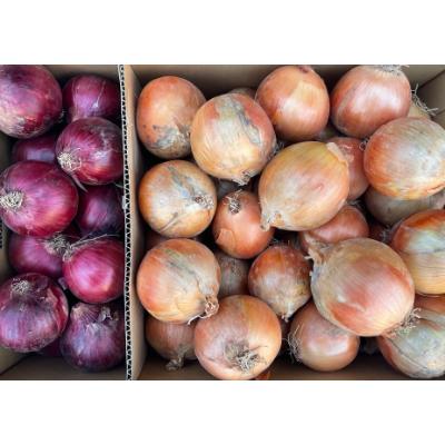 ふるさと納税 日高町 北海道産玉ねぎ2種セット 合計約18kg
