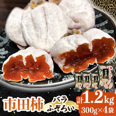 ふるさと納税 長野県 南信州の名産品【市田柿】計1.2kg(300g×4袋) バラふぞろい | 
