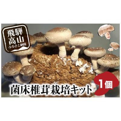 ふるさと納税 高山市 菌床椎茸栽培キット1個 a690 | 