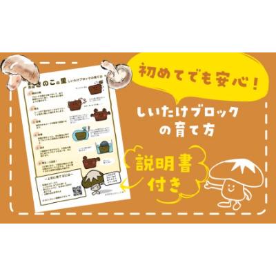 ふるさと納税 高山市 菌床椎茸栽培キット1個 a690 |  | 01