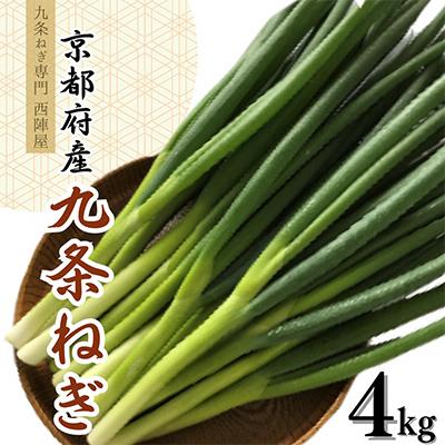 ふるさと納税 亀岡市 [九条ねぎ専門 西陣屋]京都府産新鮮九条ねぎ たっぷり 4kg