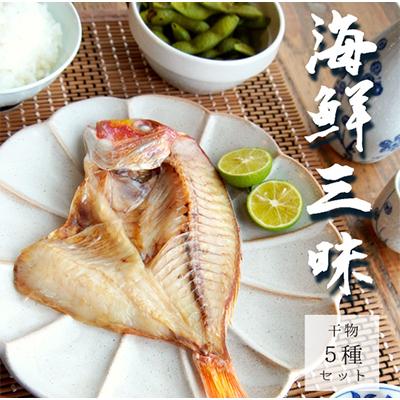 ふるさと納税 舞鶴市 海鮮三昧干物5種セット
