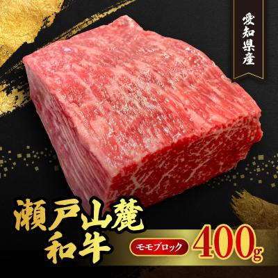 ふるさと納税 瀬戸市 瀬戸山麓和牛モモブロック 400g