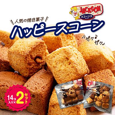 ふるさと納税 津野町 ザクザク「ハッピースコーン」14コ入り×2セット