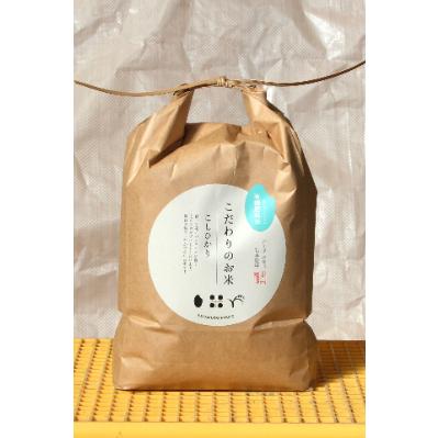 ふるさと納税 能美市 [令和7年産]石川県産コシヒカリ白米5kg×1袋海ミネラル米