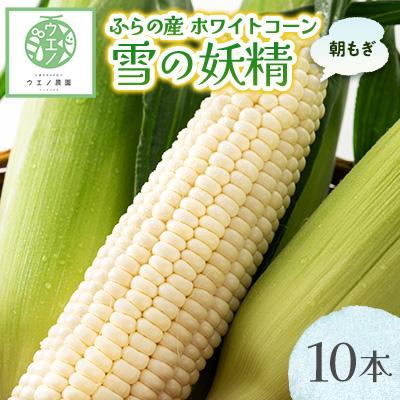 ふるさと納税 富良野市 [先行受付 2026年発送]“朝もぎ"ホワイトコーン「雪の妖精」10本
