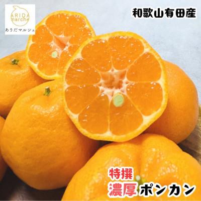 ふるさと納税 美浜町 ≪先行予約 2027年1月〜発送≫[極甘柑橘]特撰 濃厚ポンカン 1.5kg