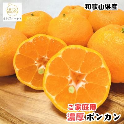 ふるさと納税 美浜町 ≪先行予約 2027年1月〜発送≫[極甘柑橘]有田育ちの濃厚ポンカン(ご家庭用) 3kg