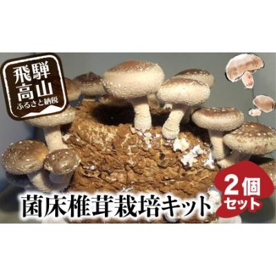 ふるさと納税 高山市 菌床椎茸栽培キット2個入り a691 | 