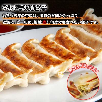 ふるさと納税 南魚沼市 新潟県 南魚沼市 チルド手焼き餃子 8個入り × 6パック 計48個 ケンちゃん餃子_1