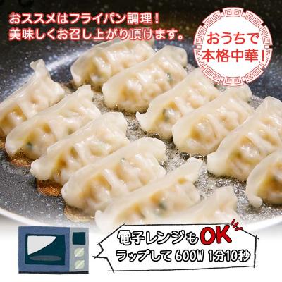 ふるさと納税 南魚沼市 新潟県 南魚沼市 チルド手焼き餃子 8個入り × 6パック 計48個 ケンちゃん餃子_2