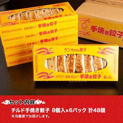 ふるさと納税 南魚沼市 新潟県 南魚沼市 チルド手焼き餃子 8個入り × 6パック 計48個 ケンちゃん餃子_3