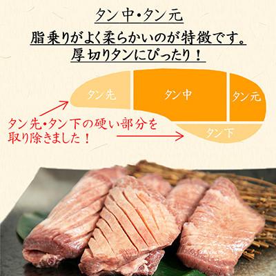 ふるさと納税 花巻市 味付け牛タン塩味　600g〜食べきりサイズ〜(300g×2パック) |  | 01