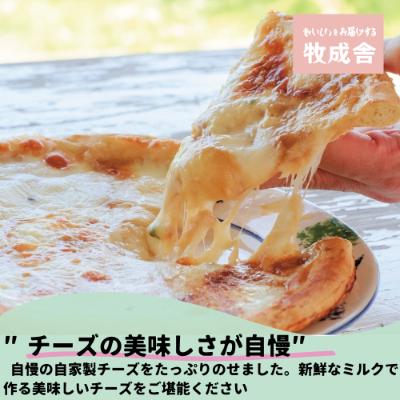 ふるさと納税 高山市 飛騨の牛乳屋・牧成舎こだわりの自家製チーズたっぷりピザ4枚セット　b603 |  | 01