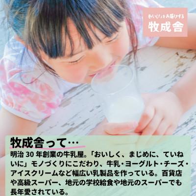 ふるさと納税 高山市 飛騨の牛乳屋・牧成舎こだわりの自家製チーズたっぷりピザ4枚セット　b603 |  | 03