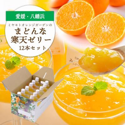 ふるさと納税 八幡浜市 愛媛限定栽培柑橘 まどんな寒天ゼリー12本セット[D25-16]