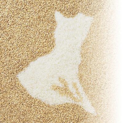ふるさと納税 土浦市 令和7年産茨城県産ミルキークイーン　精米　合計10kg (5kg×2袋) |  | 02