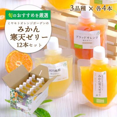 ふるさと納税 八幡浜市 愛媛の人気柑橘を厳選!旬のおすすめ みかん寒天ゼリー12本セット(3種×各4本)[D25-14]