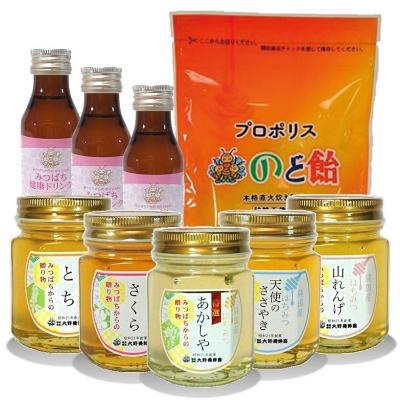 ふるさと納税 那須塩原市 人気の純国産はちみつ5本+ドリンク&amp;のど飴セット
